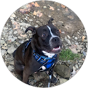 ayva Yots profile picture