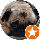 Bobby C profile picture