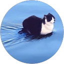 Emily Pfeifer profile picture