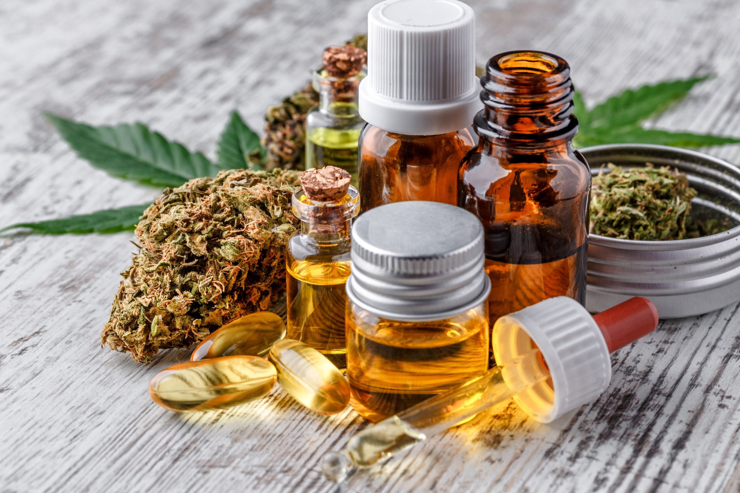 Leaves of cannabis with extract oil. Medical marijuana flower buds. CBD. THC.